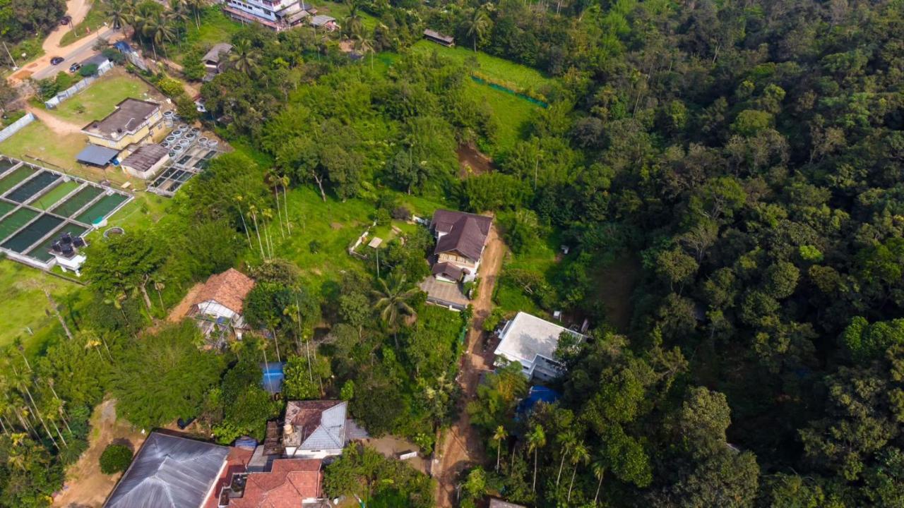 Vythiri Villas Wayanad Dış mekan fotoğraf