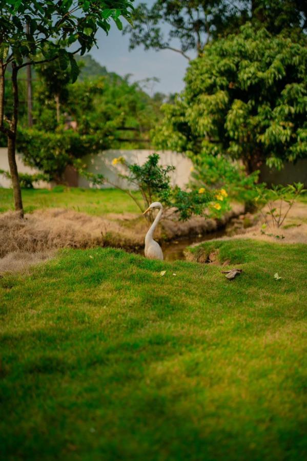 Vythiri Villas Wayanad Dış mekan fotoğraf